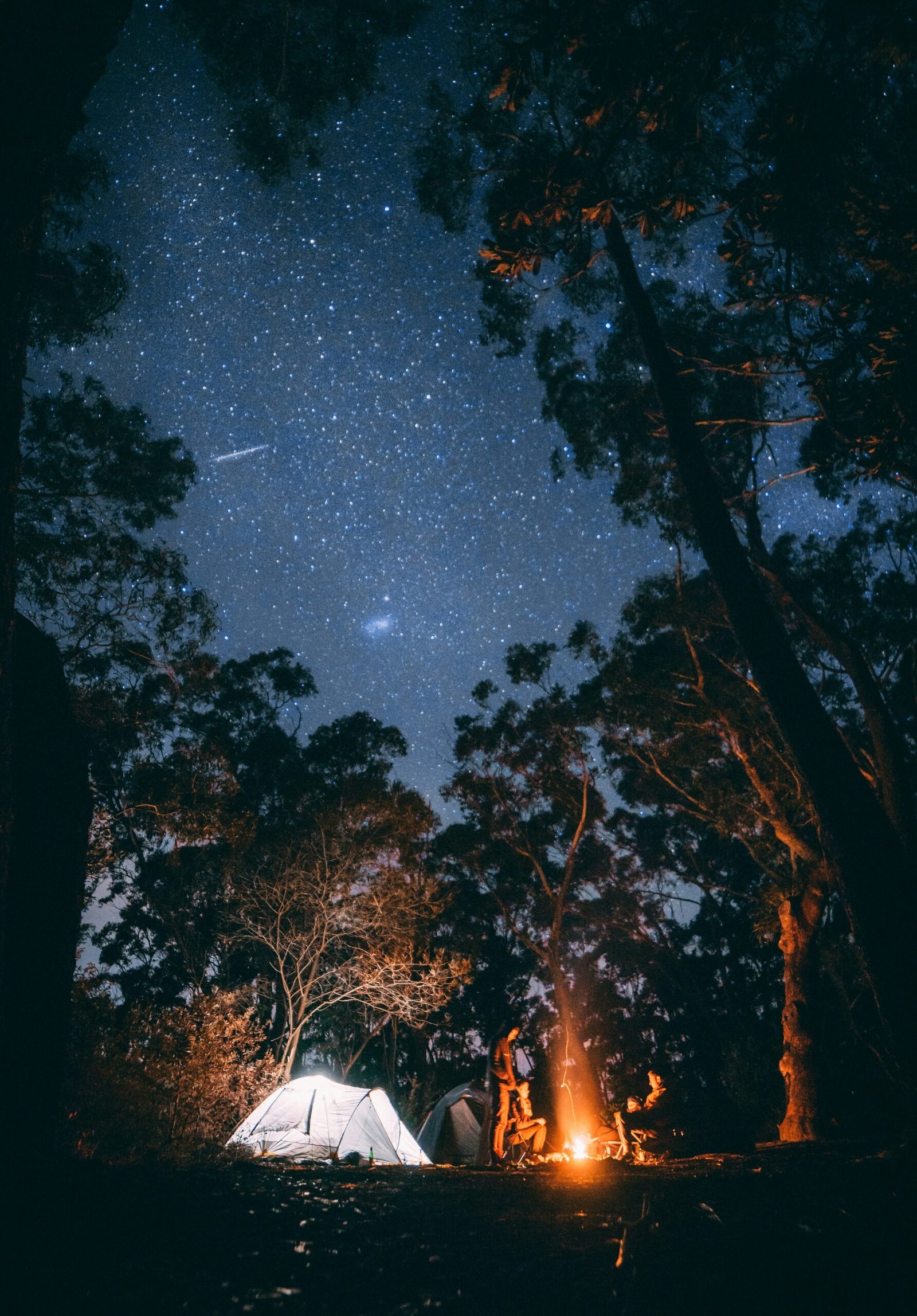 Un paseo nocturno por la selva amazónica