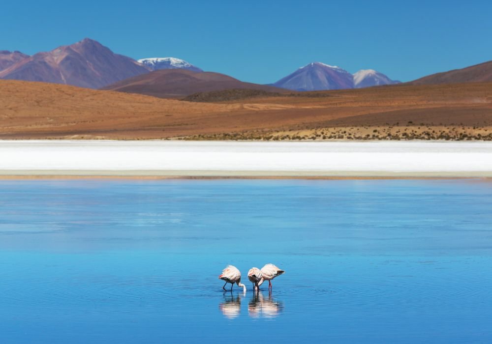 guía de viaje a Bolivia