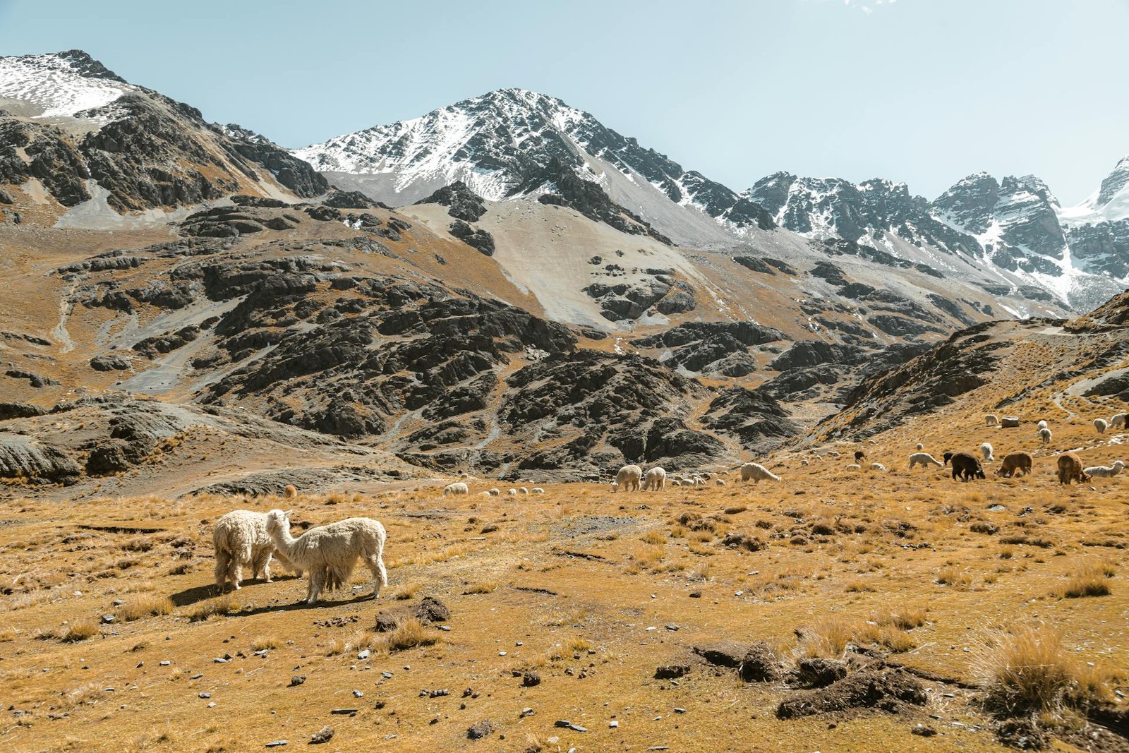 Planificar tu viaje cuándo visitarlo y qué meter en la maleta